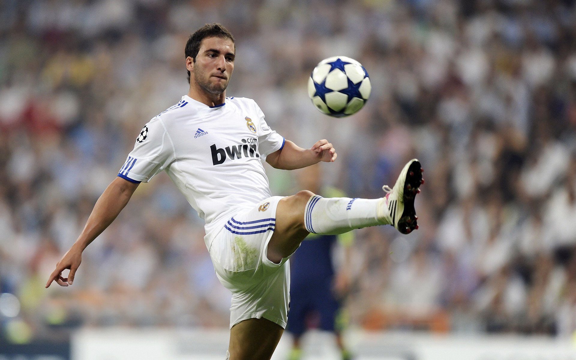 艾比·德尔福：全面防守和进攻支援，南非队不容忽视的核心，艾德和比尔的故事